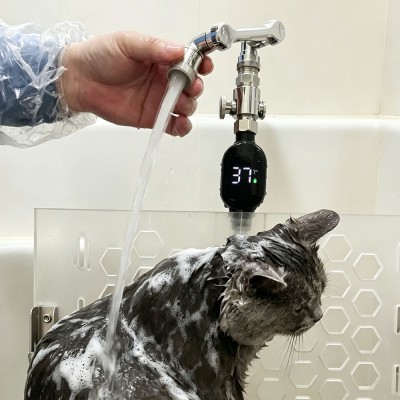 Cat Bathing Station